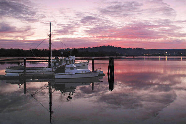 Coos Bay Art Print featuring the photograph Pink Dawn by Suzy Piatt