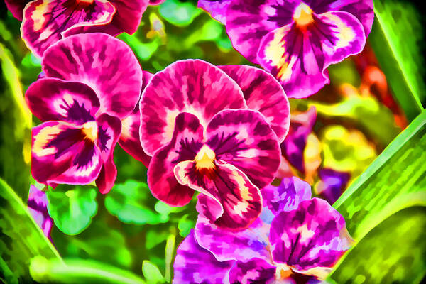 Pansy Art Print featuring the photograph Pink Pansies by Jeanne May