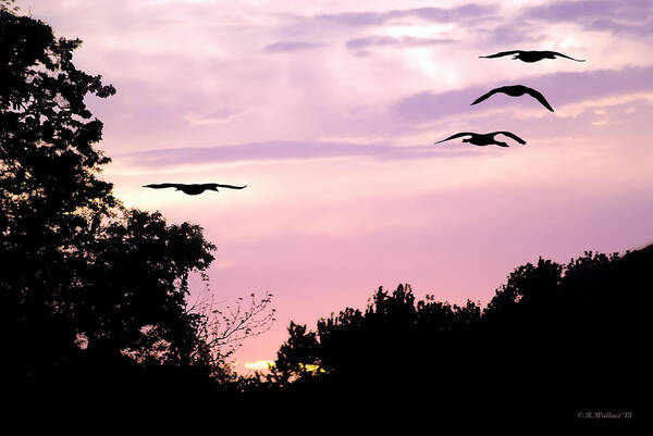 2d Art Print featuring the photograph Pink Sunrise Geese Silhouette by Brian Wallace
