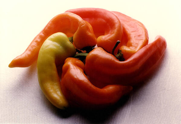 Red Art Print featuring the photograph Pinwheel Peppers by Tom Baptist