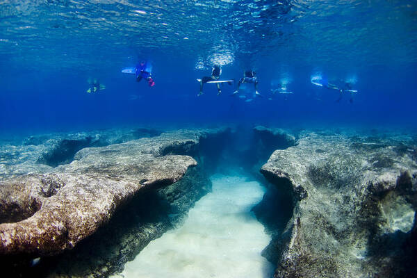 Surf Art Print featuring the photograph Pipeline's Hungry Reef by Sean Davey