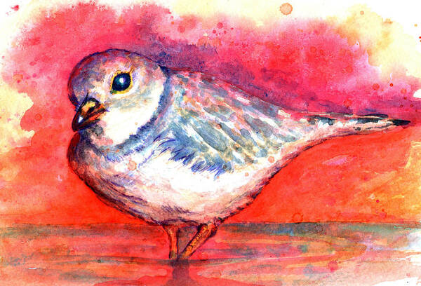 Sea Bird Art Print featuring the painting Pippa by Ashley Kujan