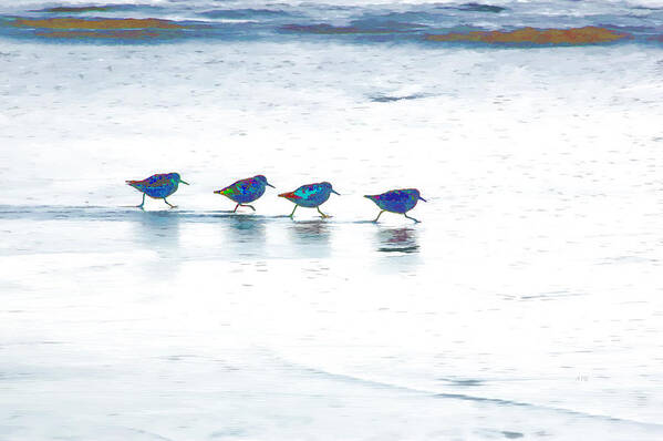Beach Art Print featuring the photograph Plovers in a Row by Allan Van Gasbeck