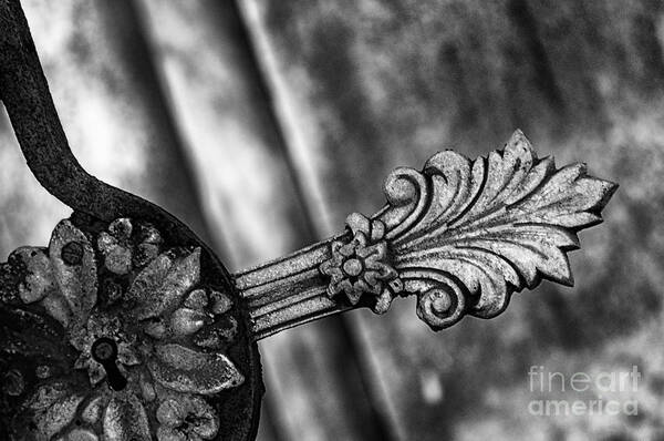 Iron Art Print featuring the photograph Plume and Rosette Cast Iron - Monochrome by Kathleen K Parker