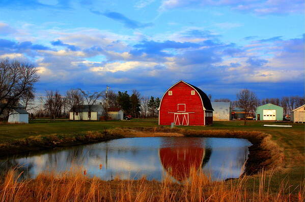 Barns Art Print featuring the photograph Pondside Farms by Larry Trupp