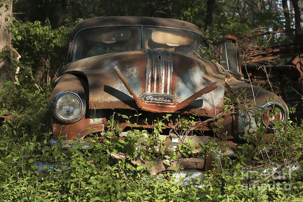 Pontiac Art Print featuring the photograph Pontiac Planted by Terry Rowe