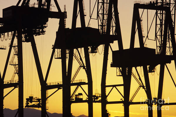 Load Art Print featuring the photograph Port of Seattle Cranes Silhouetted by Jim Corwin