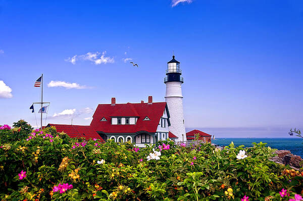 Maine Art Print featuring the photograph Portland Head Light and Roses by Mitchell R Grosky
