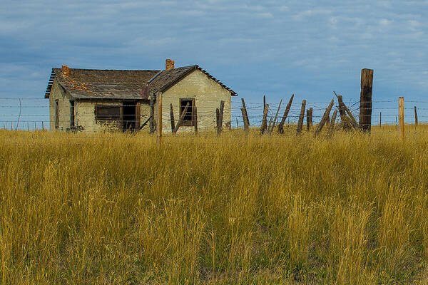 Landscapes Art Print featuring the photograph Prarie Homestead by James Langner