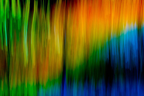 Abstracts Art Print featuring the photograph Primary rainbow by Darryl Dalton