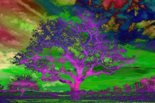 Psychedelic Sentinel Violet Art Print featuring the photograph Psychedelic Sentinel Violet by Jemmy Archer