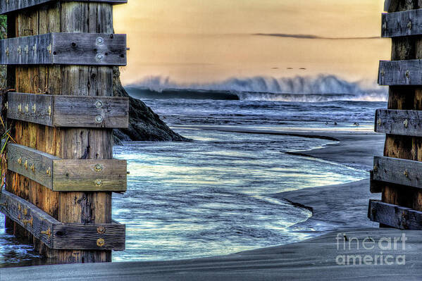 Water Art Print featuring the photograph Pudding Creek Fort Bragg by Paul Gillham