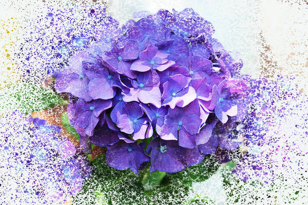 Hydrangea Art Print featuring the photograph Purple Hydrangea Abstract by Judy Palkimas