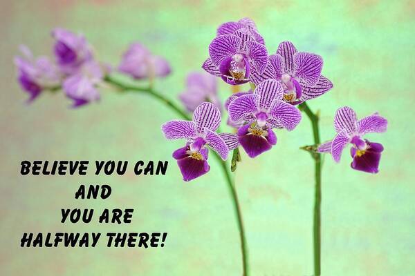 Love Art Print featuring the photograph Purple orchid quote-2 by Rudy Umans