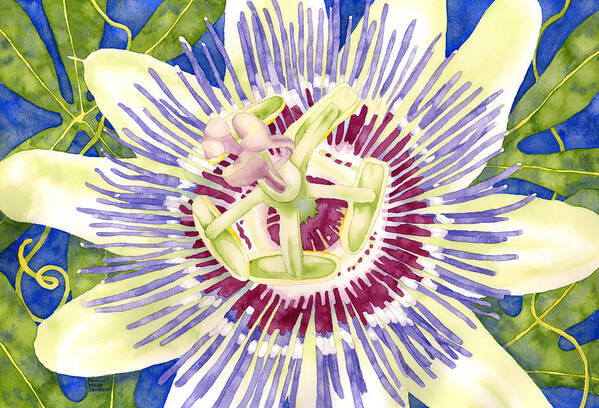 Passion Flower Art Print featuring the painting Purple Passion by Pauline Walsh Jacobson