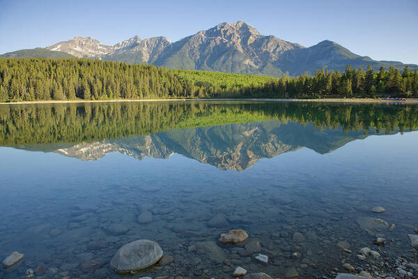 Flpa Art Print featuring the photograph Pyramid Mountain And Patricia Lake by Bill Coster