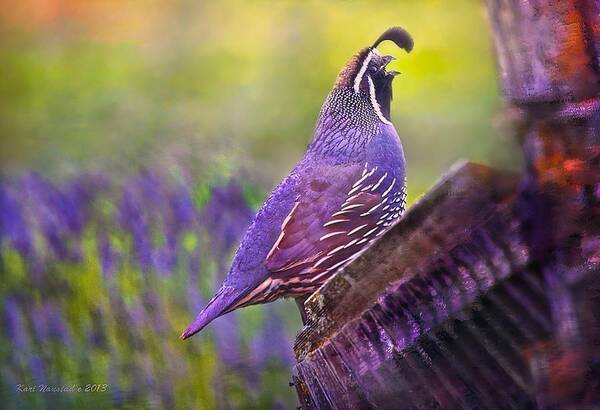 Lavender Fields Art Print featuring the digital art Quail in Lavender by Kari Nanstad