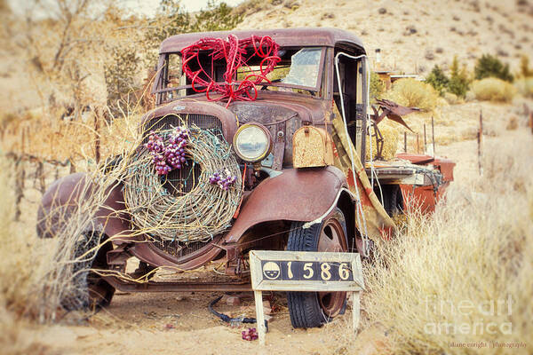 Rusty Art Print featuring the photograph Quite the Mailbox by Diane Enright