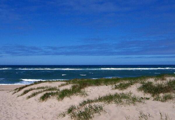 Provincetown Art Print featuring the photograph Race Point Beach by Catherine Gagne