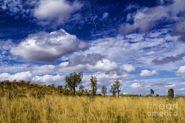 Australia Outback Landscapes Clouds Fields Sunshine Art Print featuring the photograph Rain Clouds by Rick Bragan