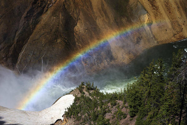 530451 Art Print featuring the photograph Rainbow At Lower Falls In Grand Canyon by Duncan Usher