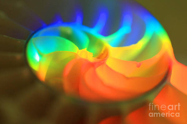 Color Art Print featuring the photograph Rainbow Spiral by Jeanette French