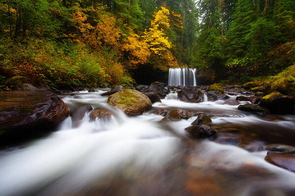 Oregon Art Print featuring the photograph Rainy Day Dreams by Darren White