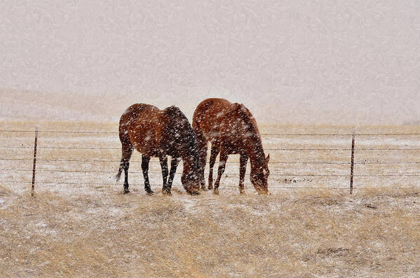 Brown Horses Art Print featuring the photograph Ranch Horses in Snow by Kae Cheatham