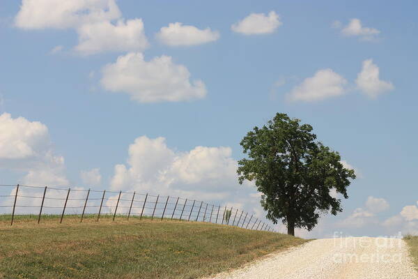 Randolph County Art Print featuring the photograph Randolph County by Kathryn Cornett