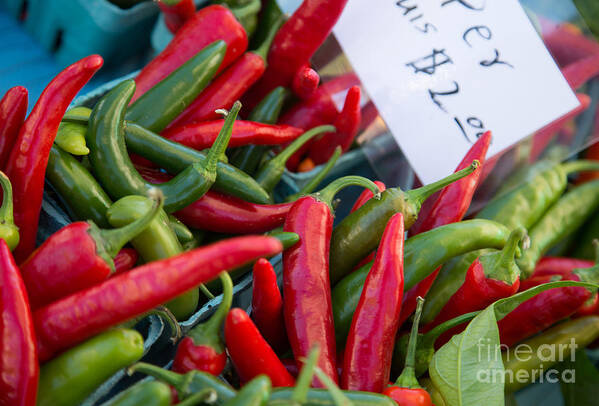 Red Art Print featuring the photograph Red and Green Peppers for sale by Rebecca Cozart