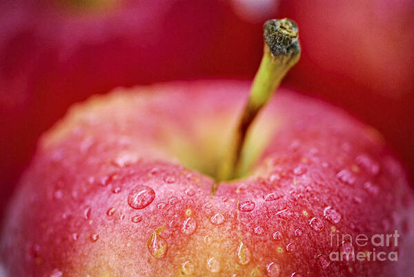 Apple Art Print featuring the photograph Red apple by Elena Elisseeva