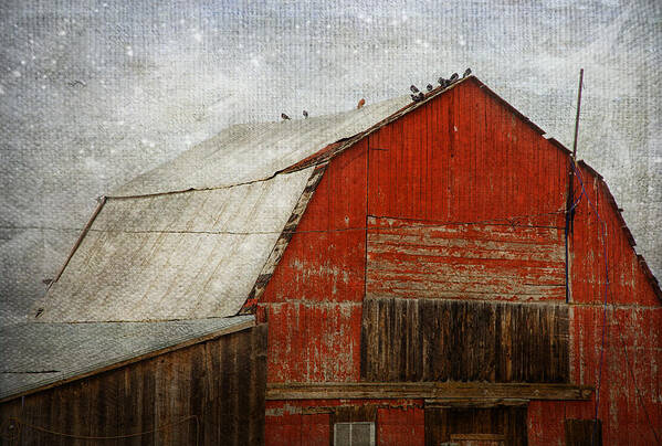 Barn Art Print featuring the photograph Red Barn And First Snow by Theresa Tahara