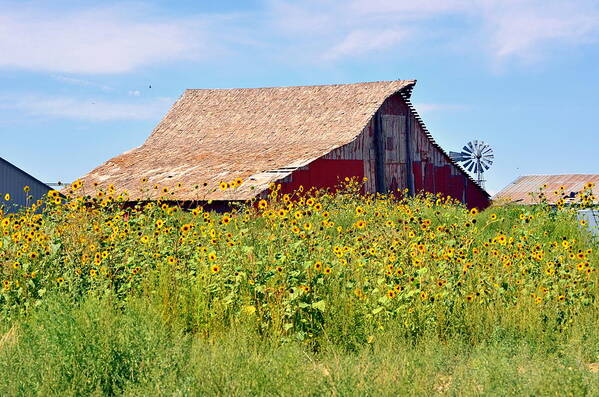 Red Barn In Summer Art Print featuring the photograph Red Barn In Summer by Clarice Lakota