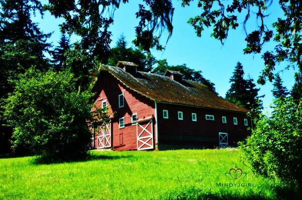 Red Art Print featuring the photograph Red Barn by Mindy Bench
