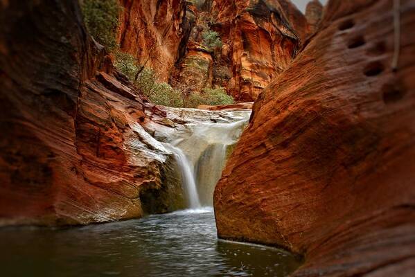 St. George Art Print featuring the photograph Red Cliffs Waterfall by Roxie Crouch