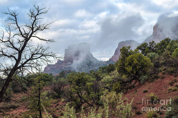 Sedona Art Print featuring the photograph Red Hills 3 by Larry White