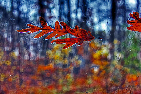 Abstract Art Print featuring the photograph red leaves on windshield Dry Brush by Andy Lawless