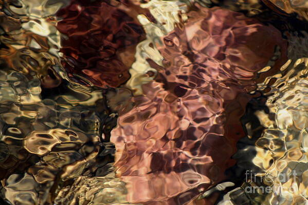 Abstract Photograph Art Print featuring the photograph Red Rock by Fred Sheridan