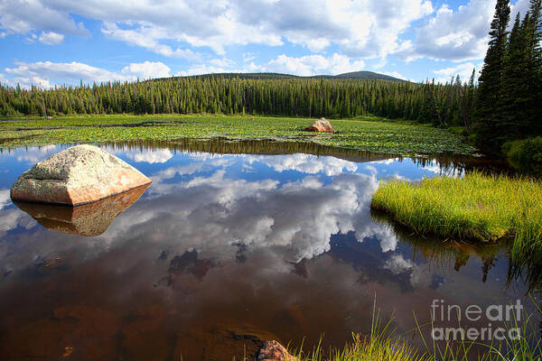 Red Rock Lake Photograph Art Print featuring the photograph Red Rock Lake Reflection by Jim Garrison