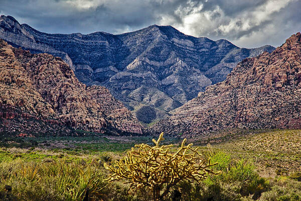 Red Rocks Art Print featuring the photograph Red Rocks Canyon by Joseph Urbaszewski