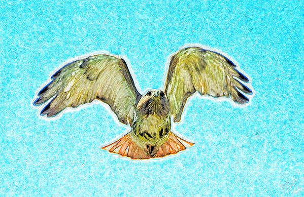 Sky Art Print featuring the painting Red Tail Hawk by Bruce Nutting