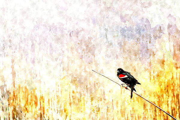 Red Art Print featuring the painting Red Wing Blackbird 2 by Rick Mosher