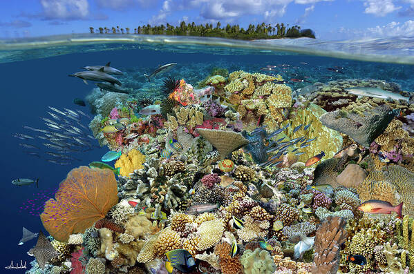 Marine Life Art Print featuring the digital art Reef Magic by Artesub