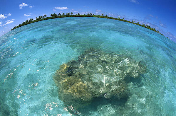 Feb0514 Art Print featuring the photograph Reef Seascape Palmyra Atoll by Tui De Roy