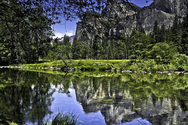 Usa Art Print featuring the photograph Reflecting on Yosemite by LeeAnn McLaneGoetz McLaneGoetzStudioLLCcom