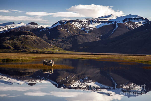 Iceland Art Print featuring the photograph Reflection In The Water by Gunnar Orn Arnason