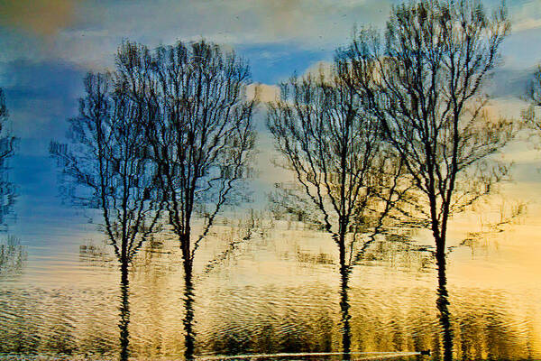 Landscape Art Print featuring the photograph Reflections by Adriana Zoon