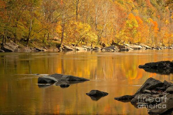 New River Art Print featuring the photograph Reflections And River Rocks In The New River by Adam Jewell