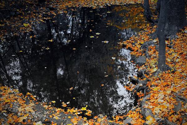 Reflections Art Print featuring the photograph Reflections of Autumn by Photographic Arts And Design Studio
