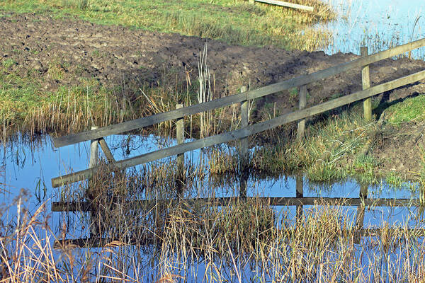 Landscapes Art Print featuring the photograph Reflections of a Fence by Tony Murtagh